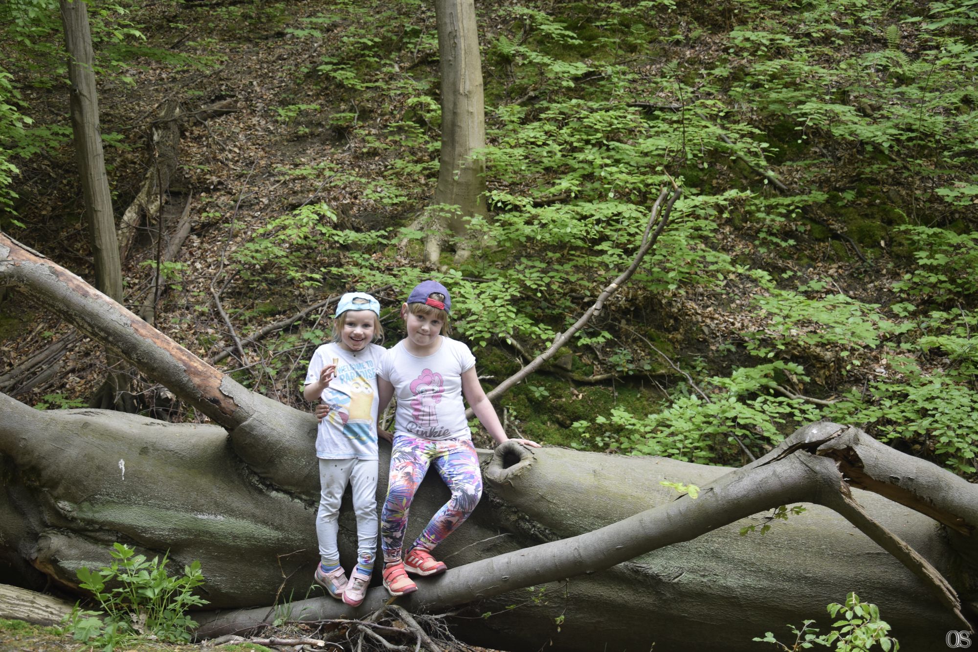 Sciezka Hochbergow 19.jpg